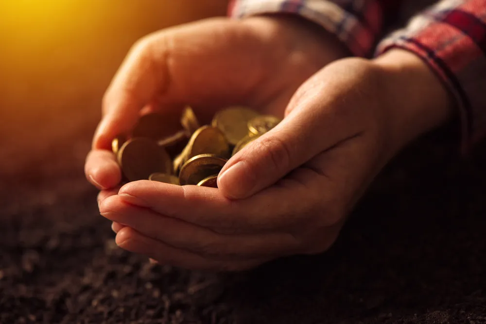 Capital Gains Tax Planning & Compliance