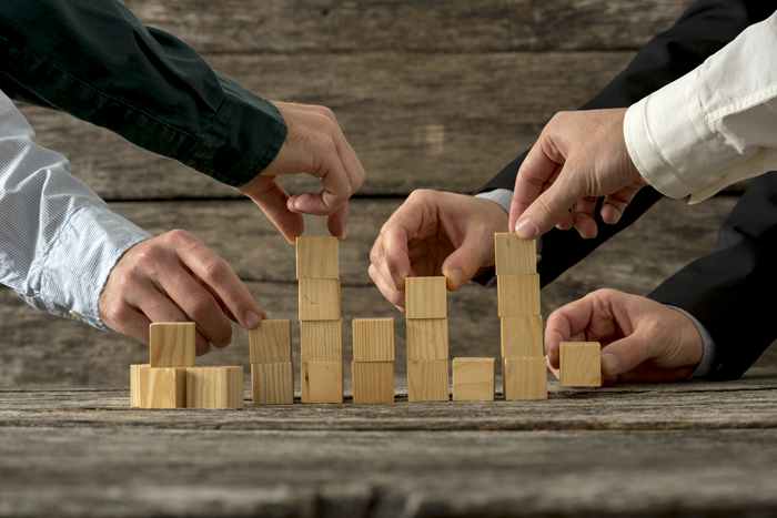 Business Structuring